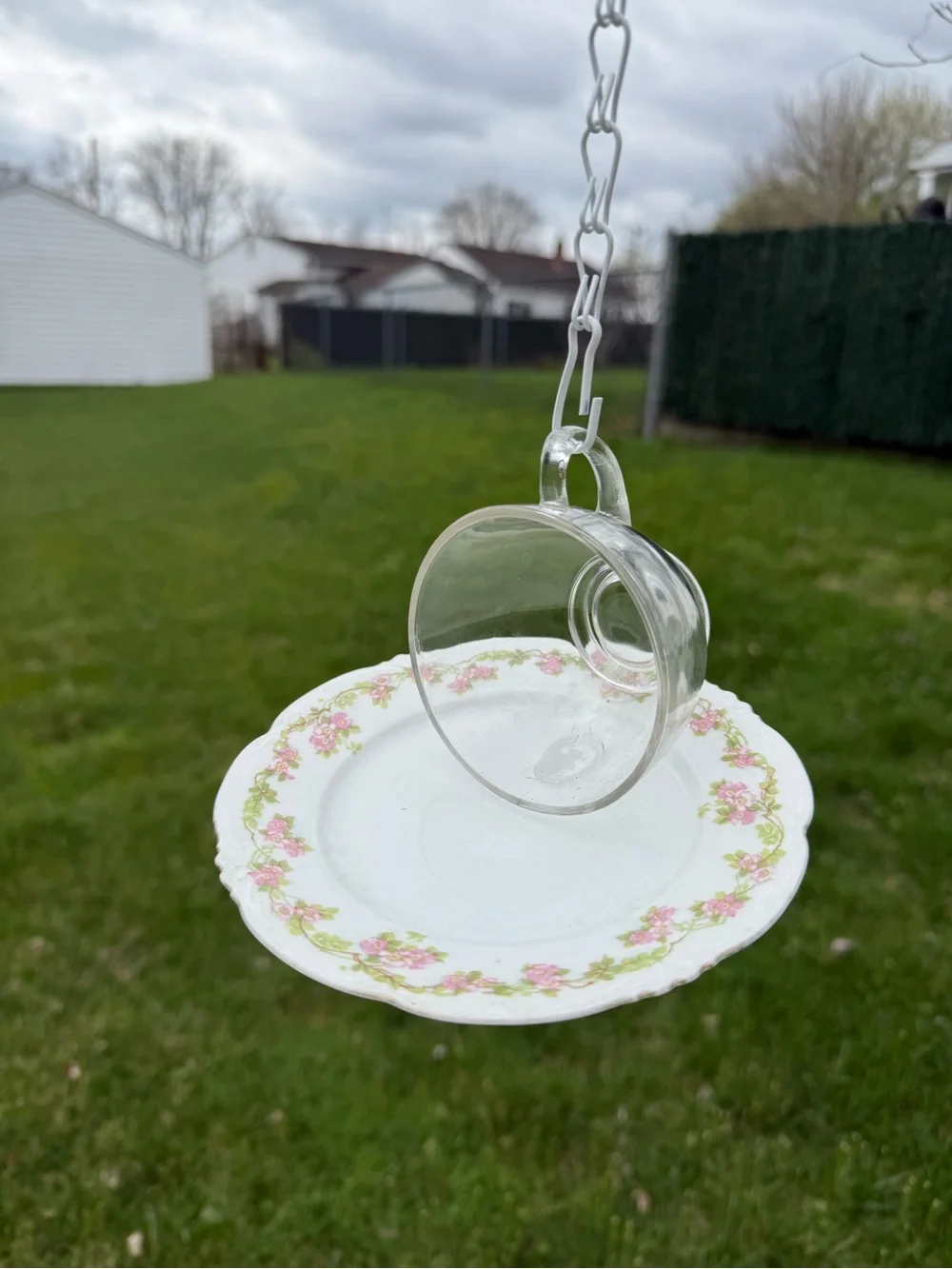 N/A hanging bird